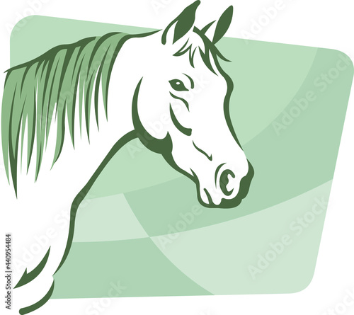 cavalo fundo verde