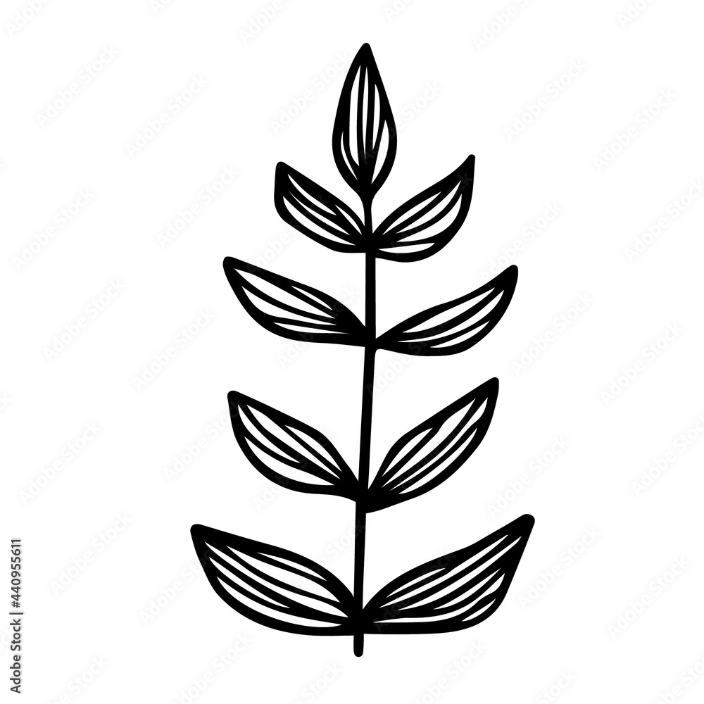 Branch with leaves. Hand drawn black doodle outline silhouette of plant twig. Stock vector minimal illustration isolated on white background. Branch with leaves. Hand drawn black doodle outline silhouette of plant twig. Stock vector minimal illustration isolated on white background.