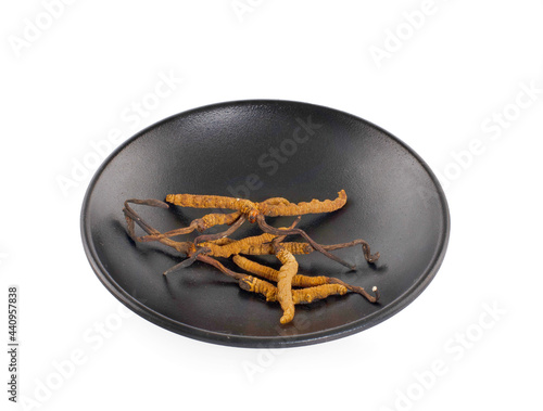 Ophiocordyceps sinensis (CHONG CAO, DONG CHONG XIA CAO) or mushroom cordyceps this is a herbs on white background photo