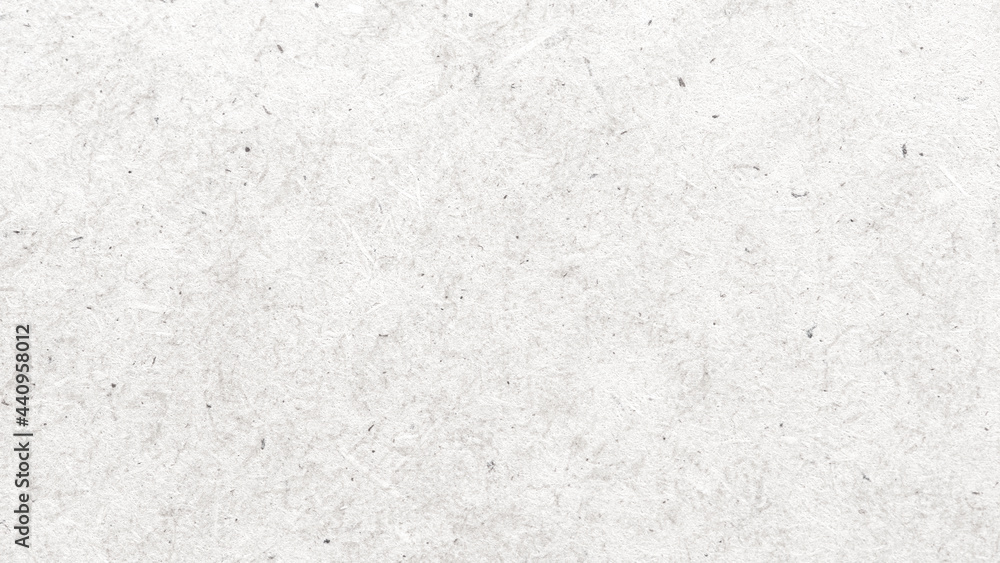 Obraz premium White bleached wood textured background