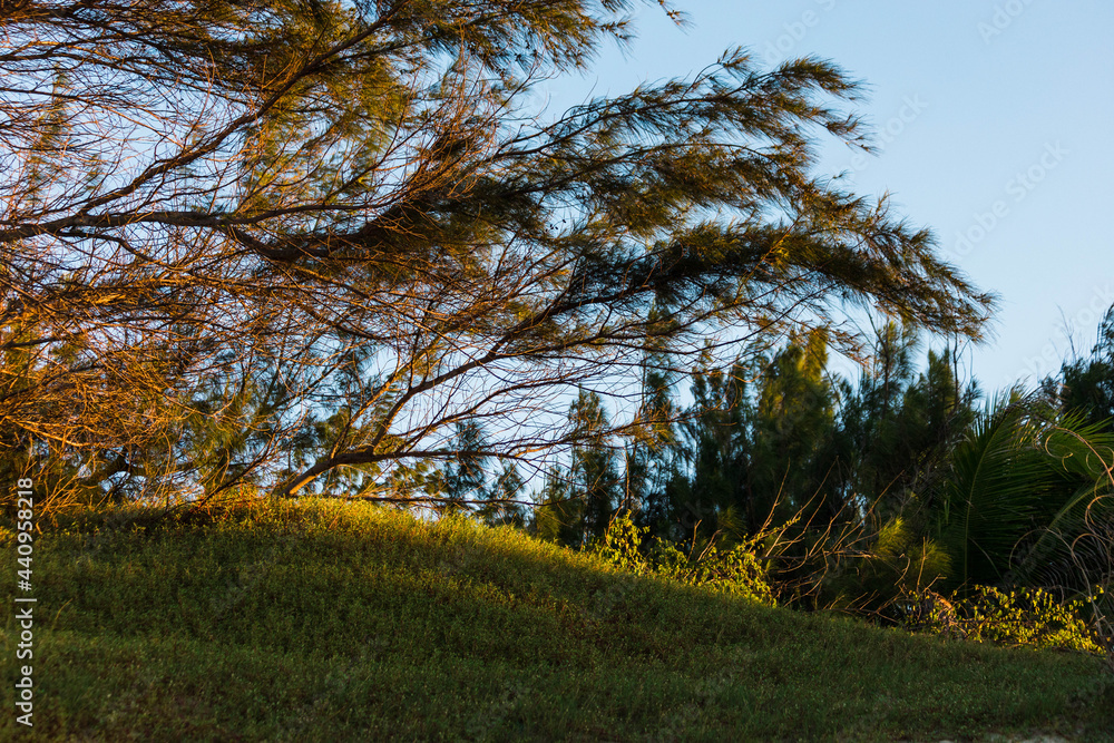 Obraz premium por do sol