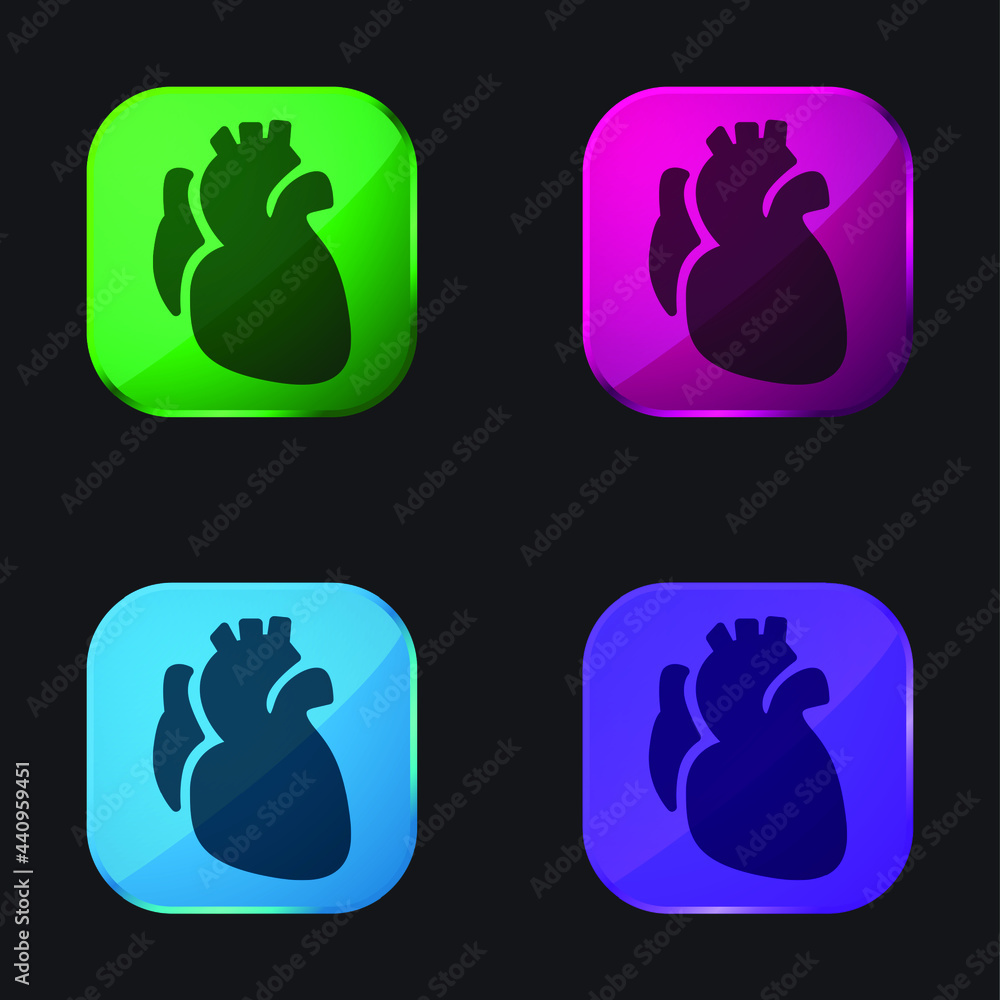 Fototapeta premium Anatomic Heart four color glass button icon