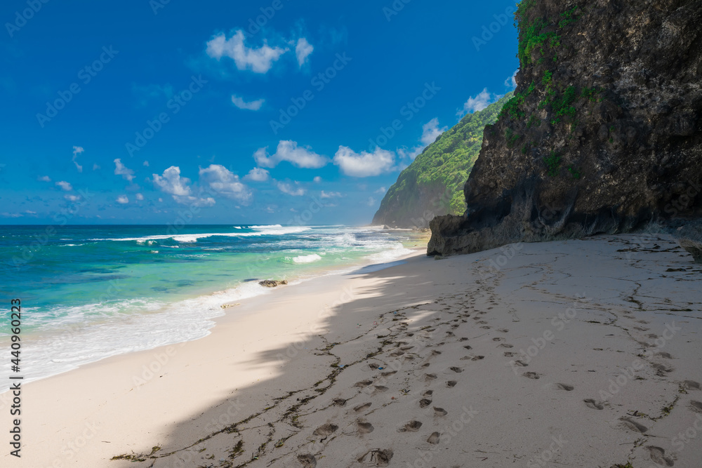 Obraz premium Tropical wild beach. Paradise sandy beach and blue ocean with wave