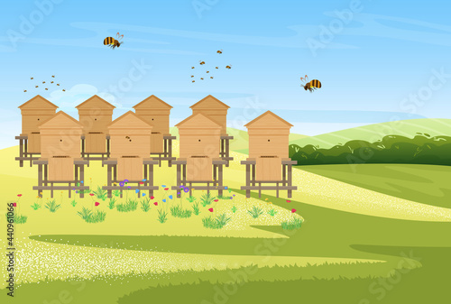 Beekeeping apiary on flower meadow field village landscape, honey production vector illustration. Cartoon bees insects flying over wooden beehives, producing organic honey farm product background