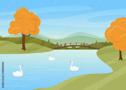 Swans swim in river, rural autumn nature landscape vector illustration. Cartoon wild birds on water surface, bridge over river or lake, trees with yellow autumnal leaves stand by riverside background