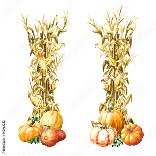 Autumn decoration made of dried corn stalks and ripe pumpkins set,  Hand drawn watercolor illustration  isolated on white background