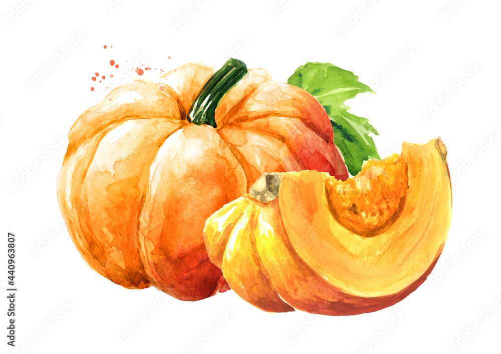 Fresh ripe yellow pumpkin or squash. Watercolor hand drawn illustration isolated  on white background - obrazy, fototapety, plakaty 