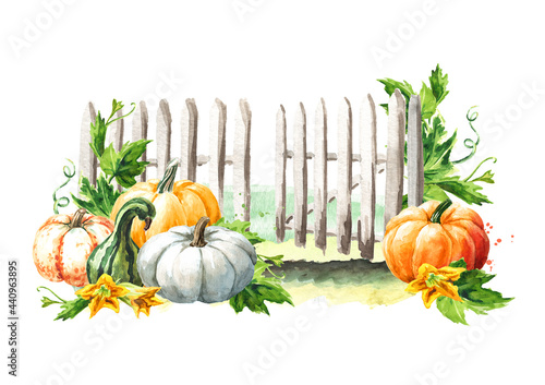 Happy Thanksgiving card with pumpkins harvest. Hand drawn watercolor illustration, isolated on white background