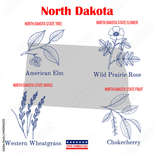 North Dakota. Set of USA official state symbols