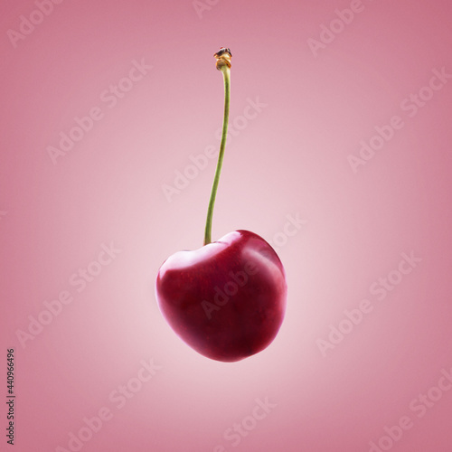 Cherry fruit closeup isolated on pink pastel background. Fresh flying fruit design menu. Summer food concept. Flat lay.
