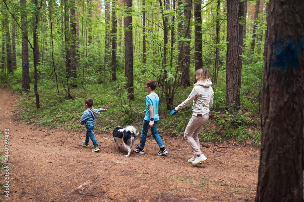 family with siberian husky dog walking in forest family with siberian husky dog walking in forest