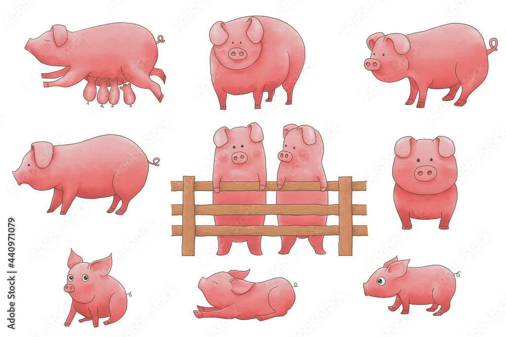 Watercolor style pig on a white background. set of characters ...