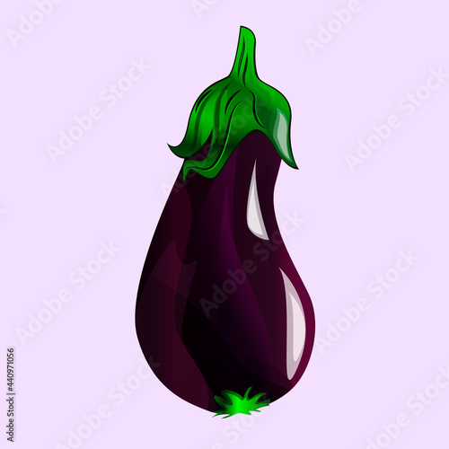 Ripe purple eggplant. Vector illustration
