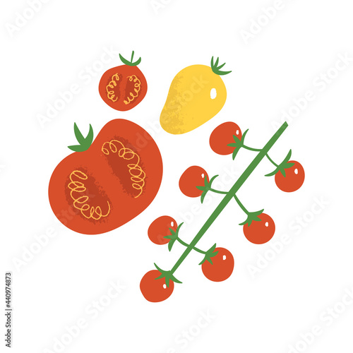 Tomato flat hand drawn set. Cherry tomatoes, yellow and red vegetables. Healthy eating vegan concept.