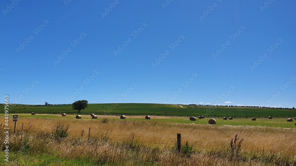 Australian farmlands 