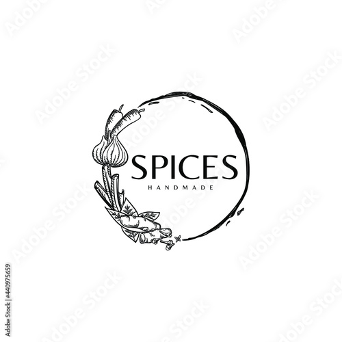 Circle Round Spices with Splash Drawing Vintage Logo Vector Illustration Template Icon