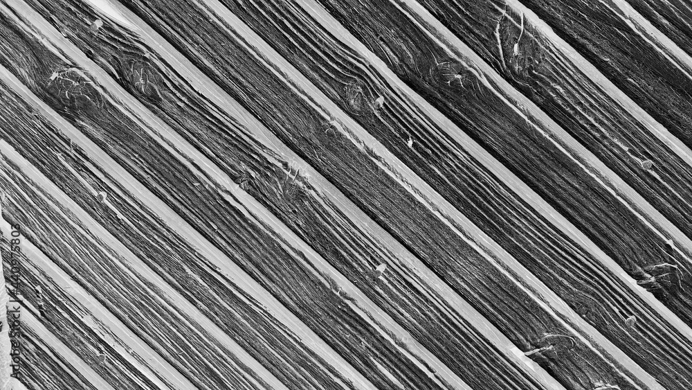 Obraz premium black and white wood texture backdrop