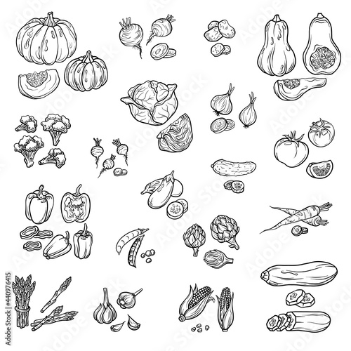 Set of vegetables isolated on white background. Vector food icons. Farm products, broccoli, eggplant, potato, garlic, onion, pumpkin zucchini, tomato, cucumber, carrot, bell pepper, corn, artichoke