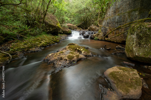 Fototapeta Naklejka Na Ścianę i Meble -  waterfall in the forest