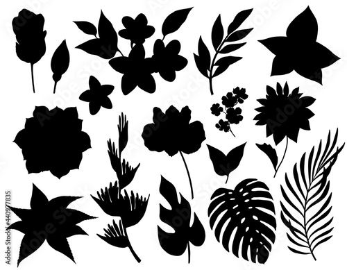 Set of tropical flowers and leaves silhouettes isolated on white background