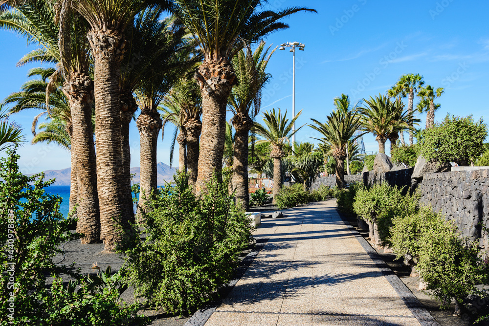 Puerto del Carmen beach in Lanzarote, Canary islands, Spain. blue sea, palm trees, selective focus Puerto del Carmen beach in Lanzarote, Canary islands, Spain. blue sea, palm trees, selective focus