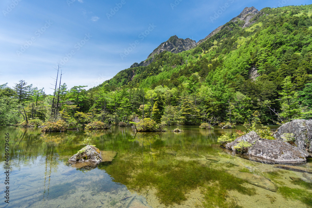 Fototapeta premium 上高地 神聖な明神二ノ池