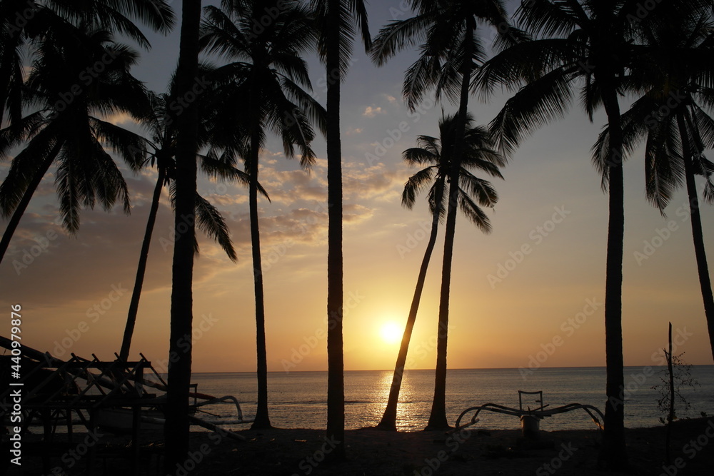 Palm trees and Sunset