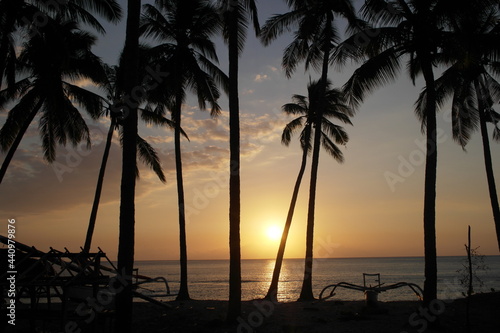 Palm trees and Sunset