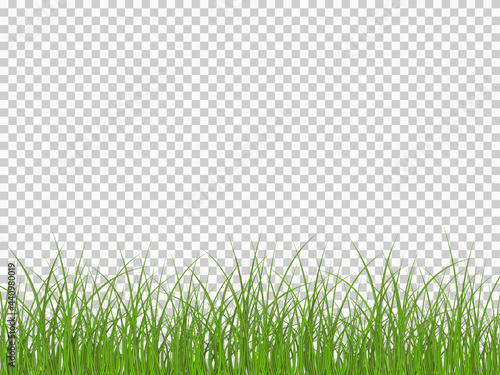 Green realistic seamless grass border isolated on transparent background. Horizontal seamless background