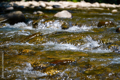 rough water in the mountains, water flows over the rocks, forest, nature, mountains, waterfall, background, cascade, stream, nature of the carpathians, mountain river