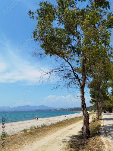 Fototapeta Naklejka Na Ścianę i Meble -  mitikas beach tourist resort sea trees summer in preveza perfecture greece