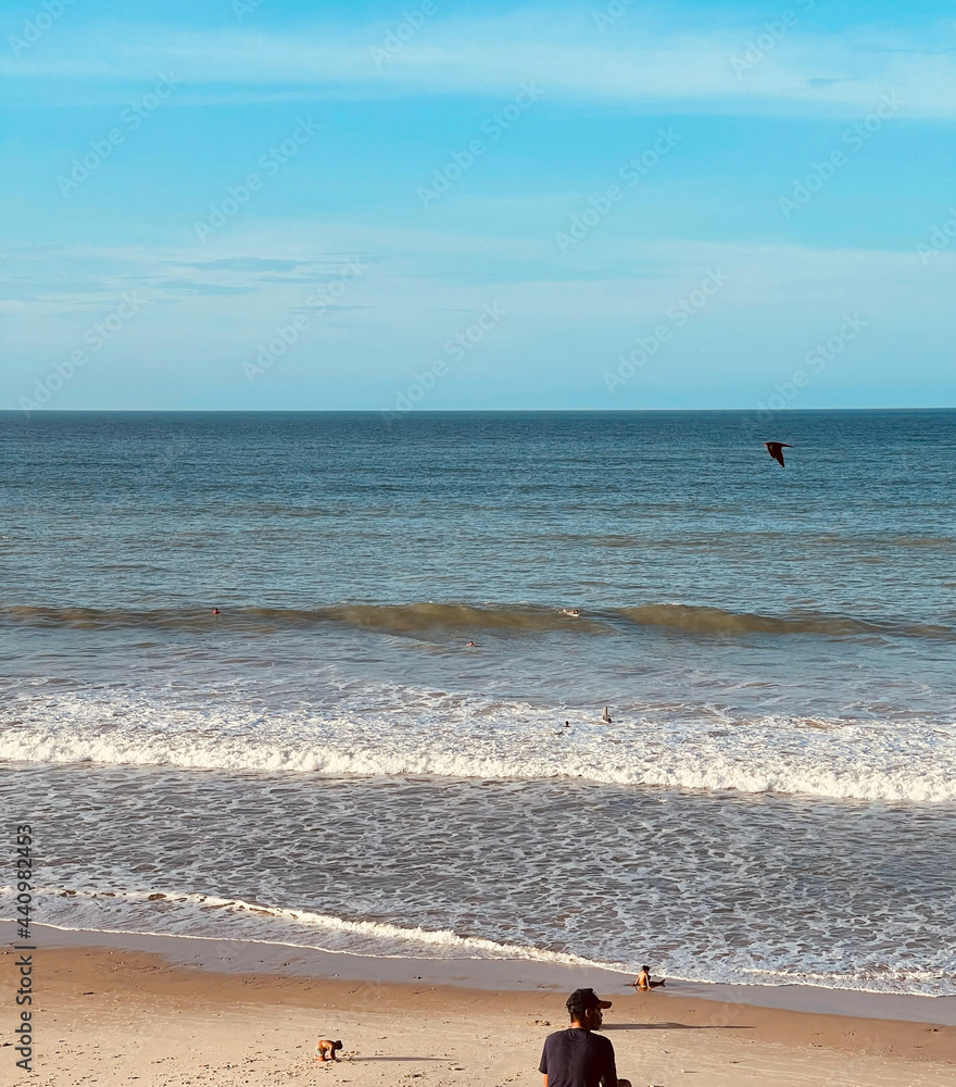 Obraz premium Nature