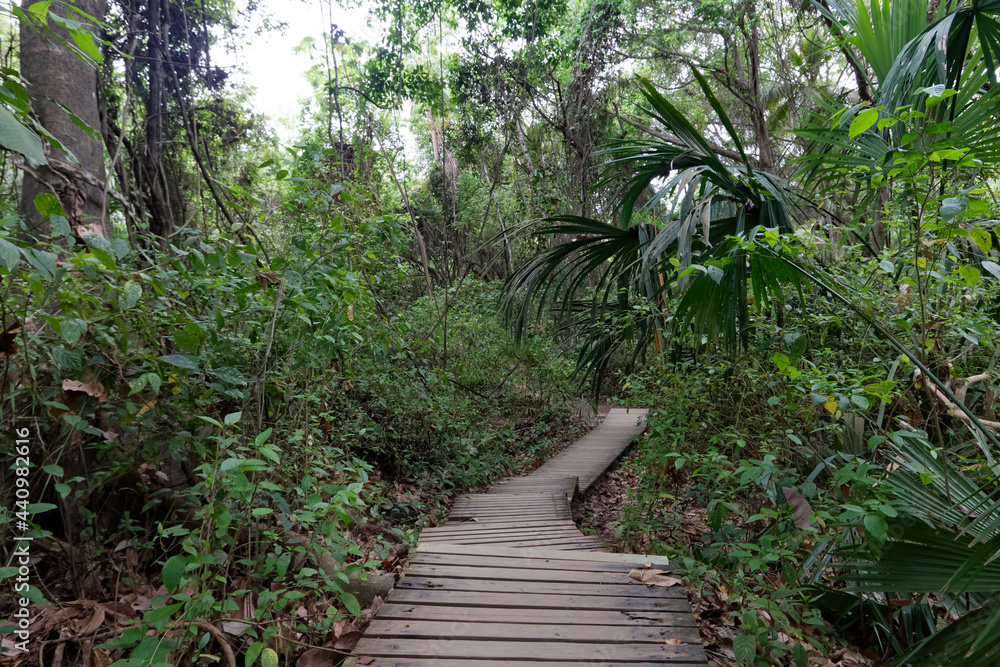 Naklejka premium Park Narodowy Tayrona na karaibskikm wybrzeżu Kolumnii