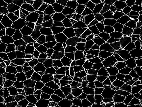 Black and white cracked texture