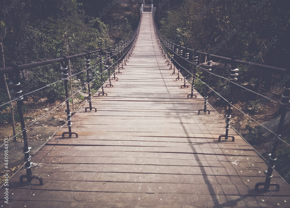 Fototapeta premium wooden bridge in the forest