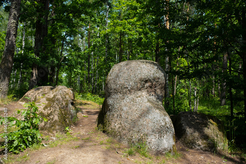 Big stones boulders in a fabulous summer forest, stone village in Ukraine © Olivia