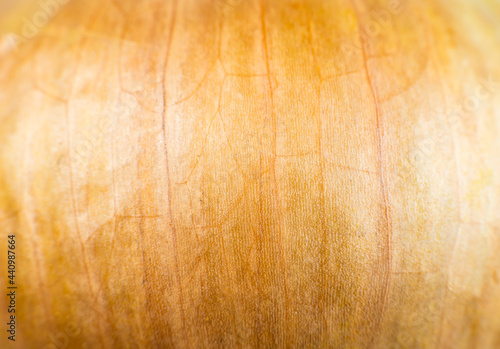 Onion peel texture background. Vegetable close up photo, macro view. Beautiful wallpaper. photo