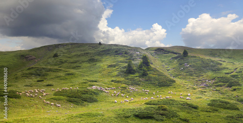 Beautiful valley in National Park Biogradska Gora. Montenegro. photo