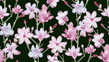 oriental seamless texture with simple sketching of pink flowers on dark background. watercolor painting