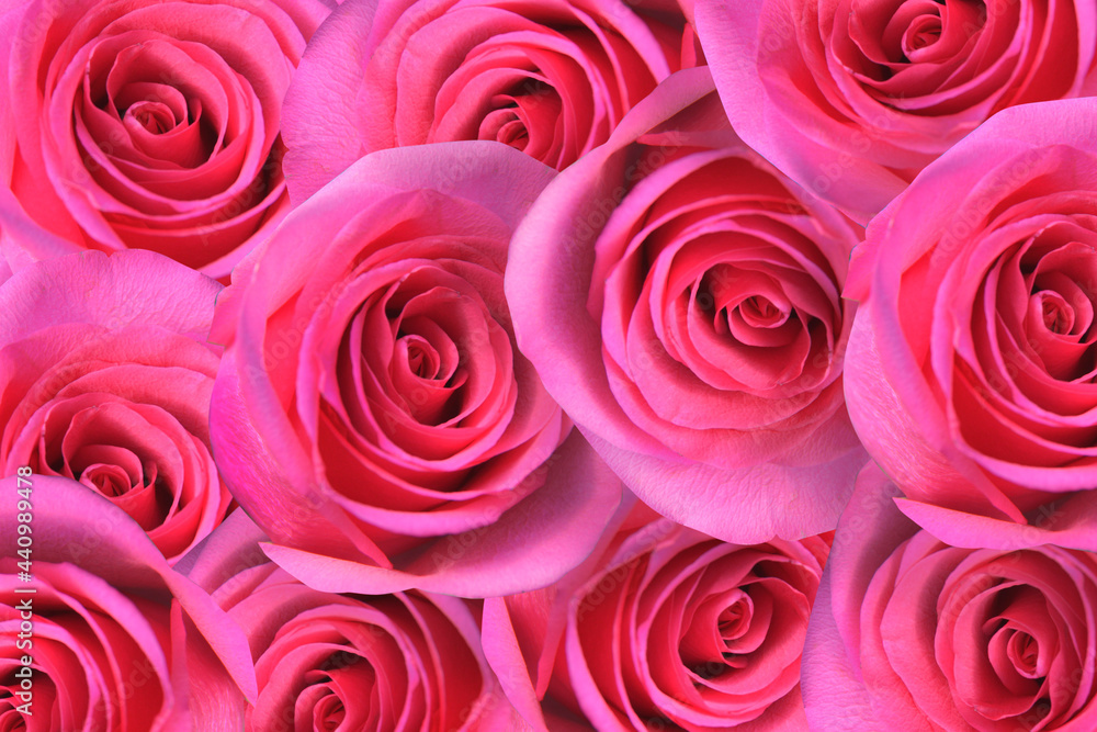 Rose Petals Background Rose Petals Background