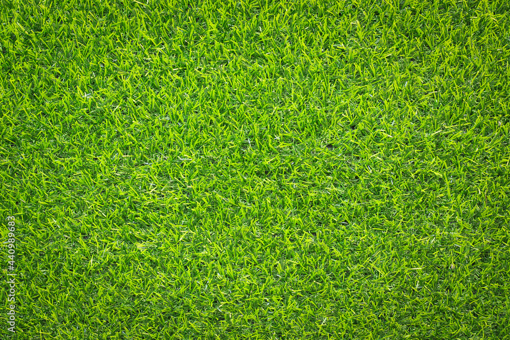 Fototapeta premium top view green grass texture for background