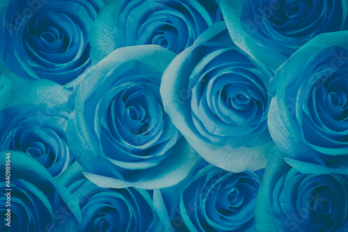 Fototapeta Naklejka Na Ścianę i Meble -  Rose Petals Background