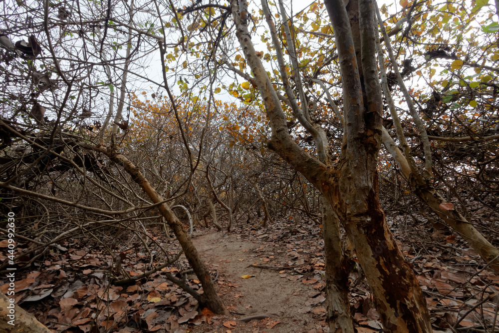 Park Narodowy Tayrona na karaibskikm wybrzeżu Kolumnii Park Narodowy Tayrona na karaibskikm wybrzeżu Kolumnii