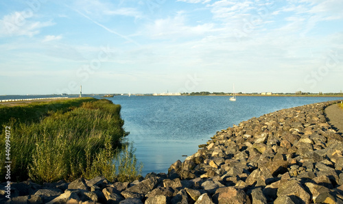 Oostvaardersdijk  Flevopolder  Nederland   Netherlands