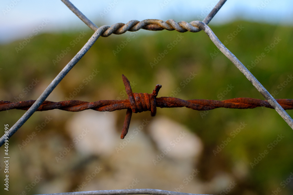 Old barbed wire // Piggtråd