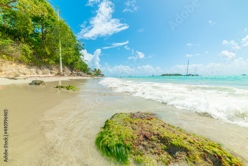 Fototapeta Naklejka Na Ścianę i Meble -  Turquoise water in beautiful La Datcha beach in Guadeloupe