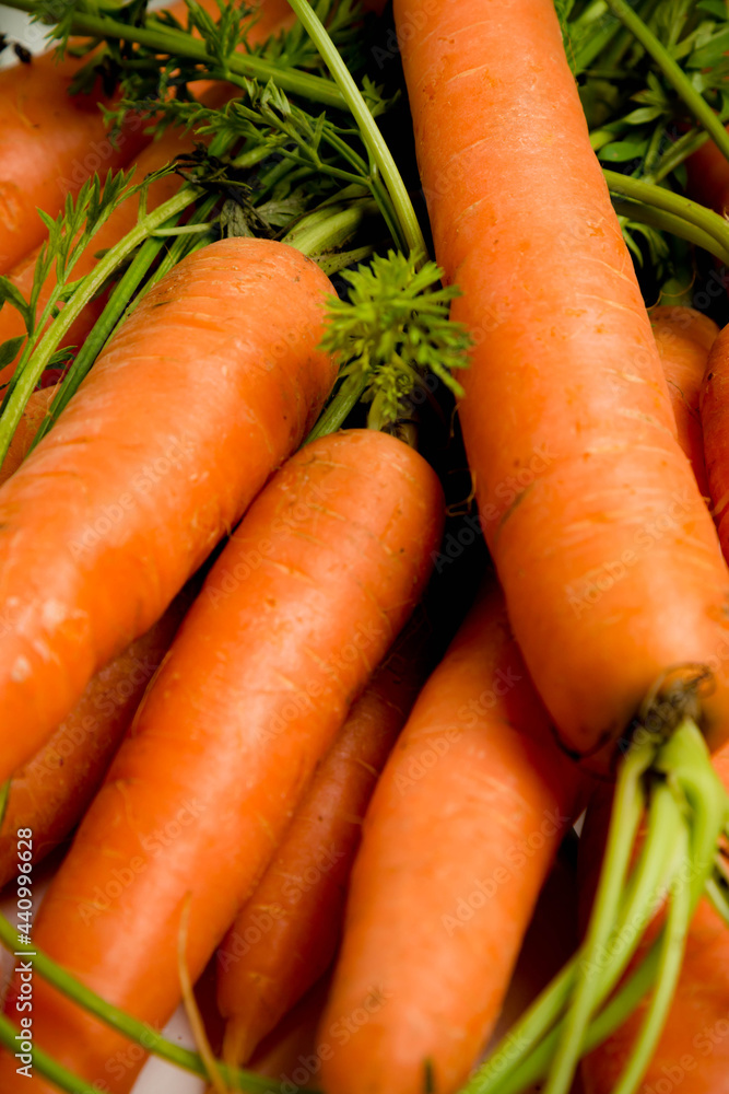 A bunch of carrots with tops, isolated on a white background A bunch of carrots with tops, isolated on a white background
