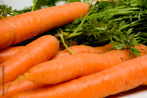 A bunch of carrots with tops, isolated on a white background