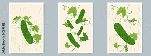 Cucumber Poster Set. Colorful Wall Art. Minimalist Vegetable with Green Leaves, contour Line and Texture Background for Food Market, wall decoration, brochure, Thanksgiving day,Harvest Festival