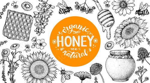 Honey hand drawn vector illustration. Healthy food illustration. Lettering Premium Quality Honey 100% Organic. Honeycomb, flowers, jar of honey sketch.
